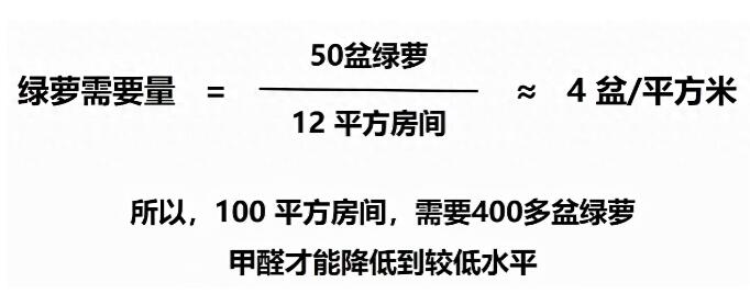 公司用綠蘿除甲醛，到底靠不靠譜？